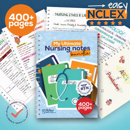 Nursing Notes Bundle